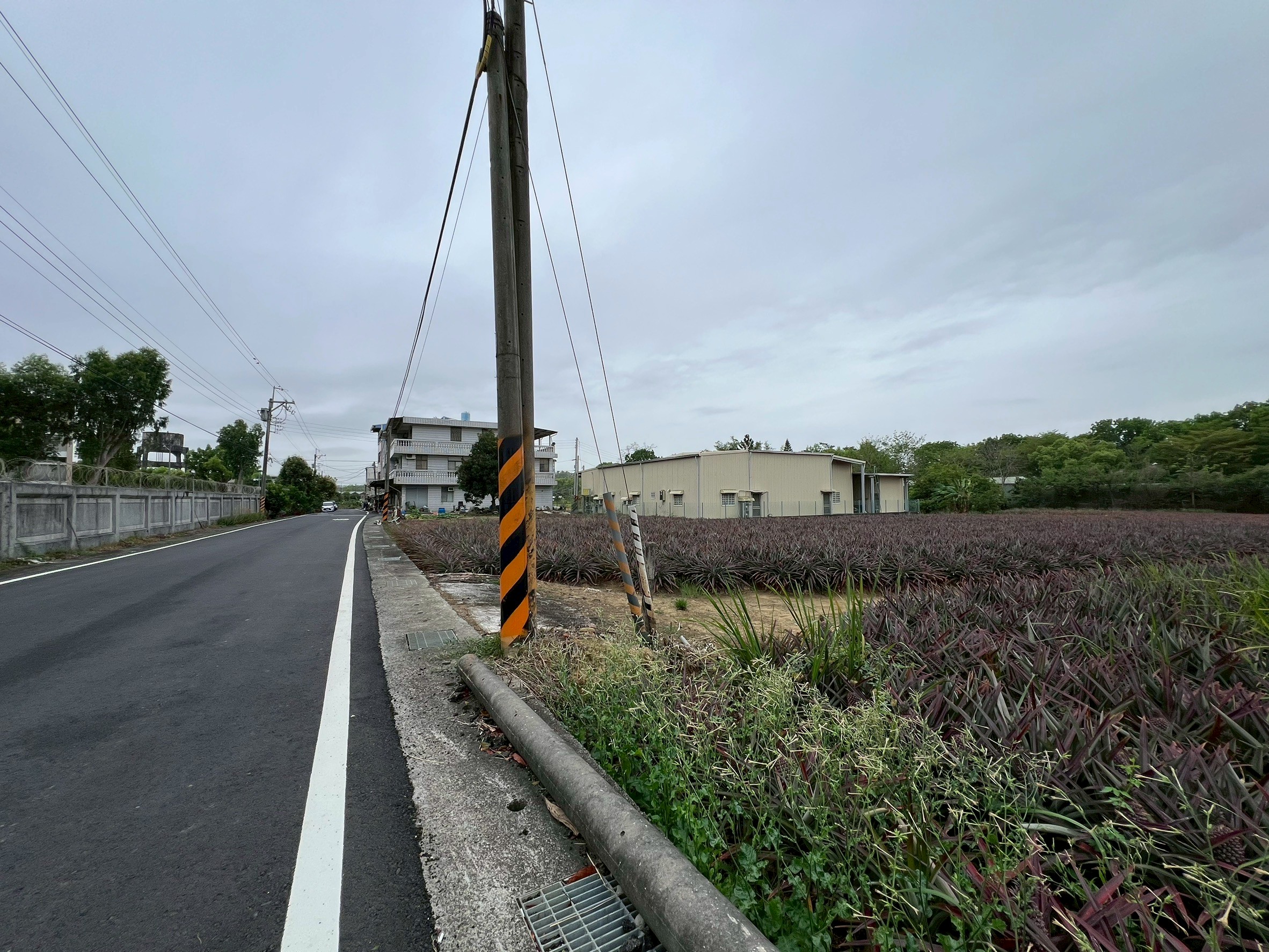 LINE_ALBUM_知母義農建地_250416_2