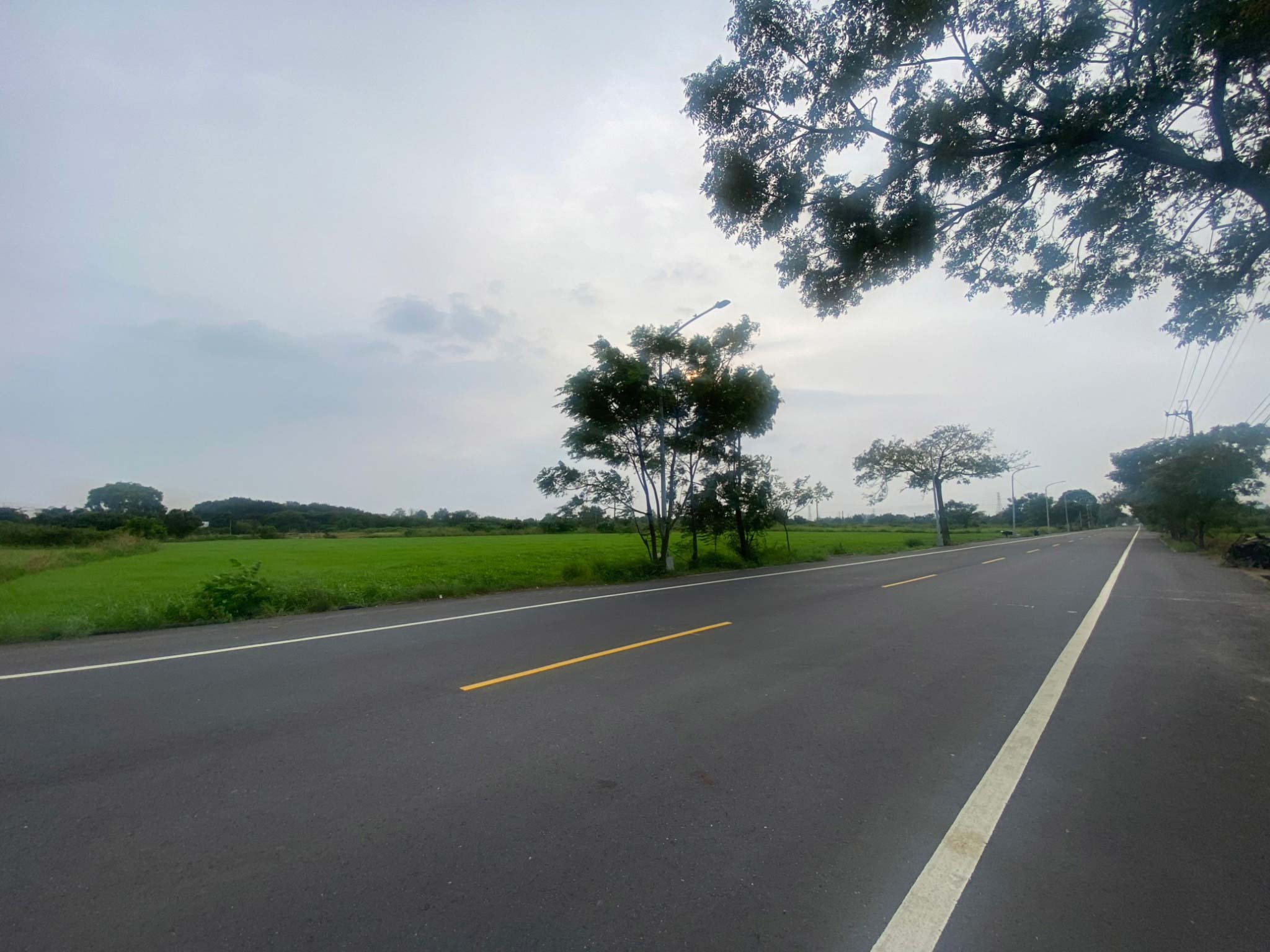 LINE_ALBUM_🍀新化2.5分平坦農地🍀_240923_4