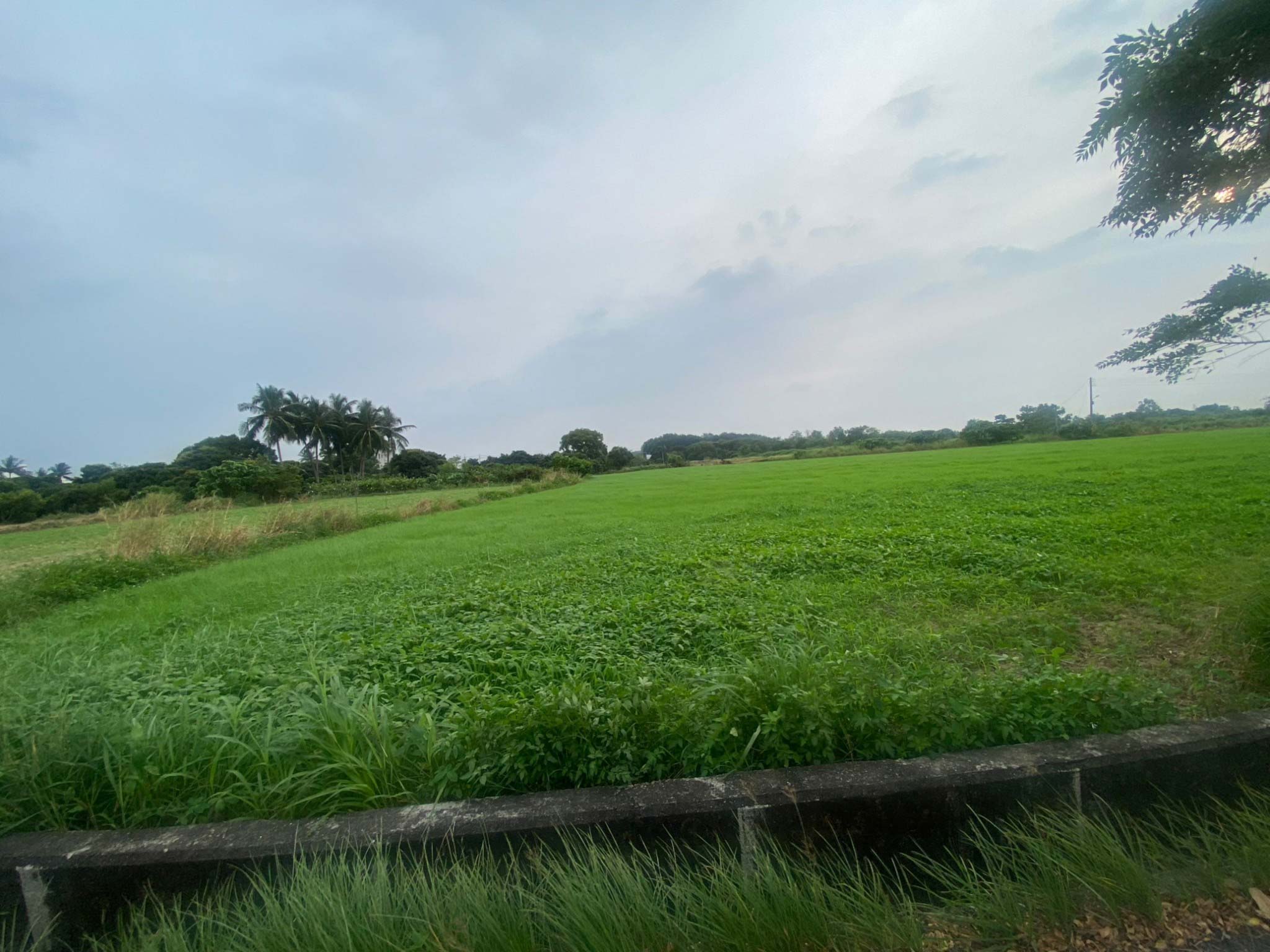 LINE_ALBUM_🍀新化2.5分平坦農地🍀_240923_5