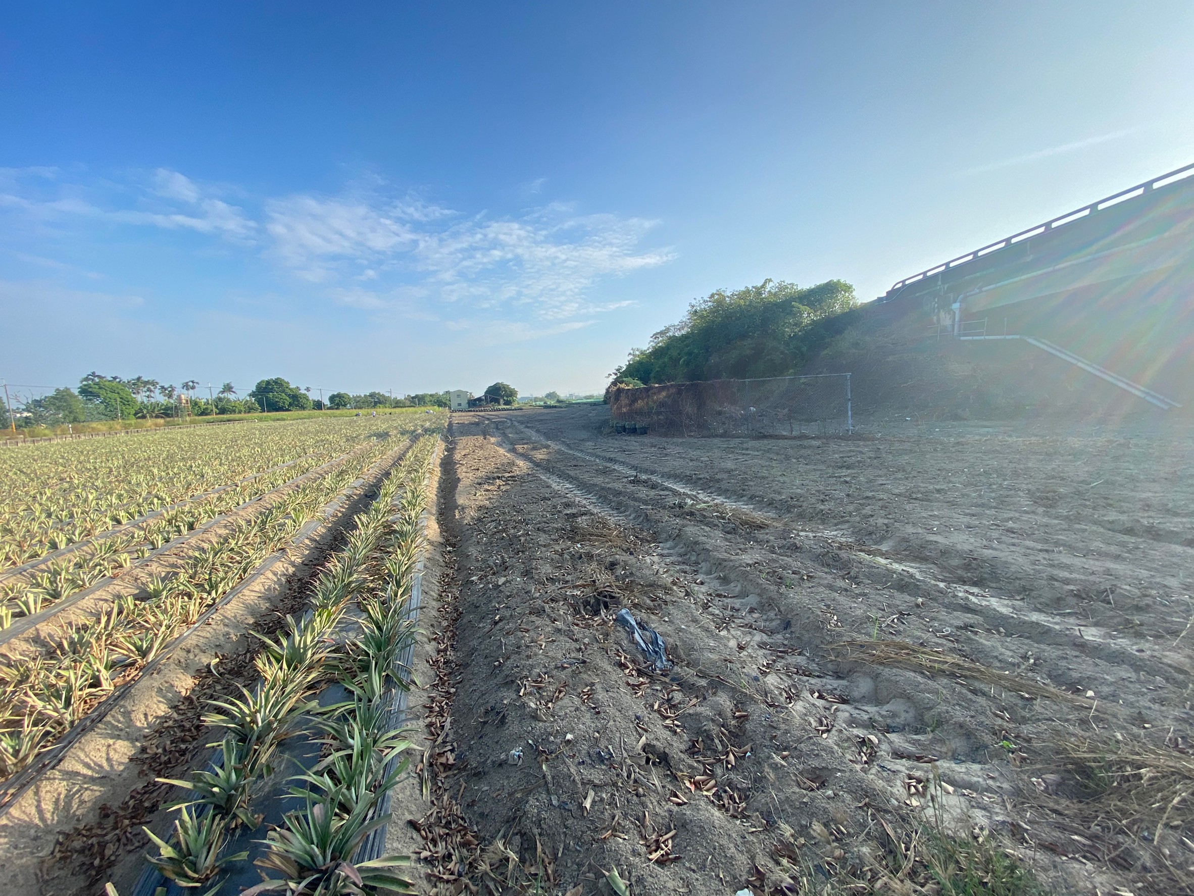 4LINE_ALBUM_新市東大社段 929農地_221117_5