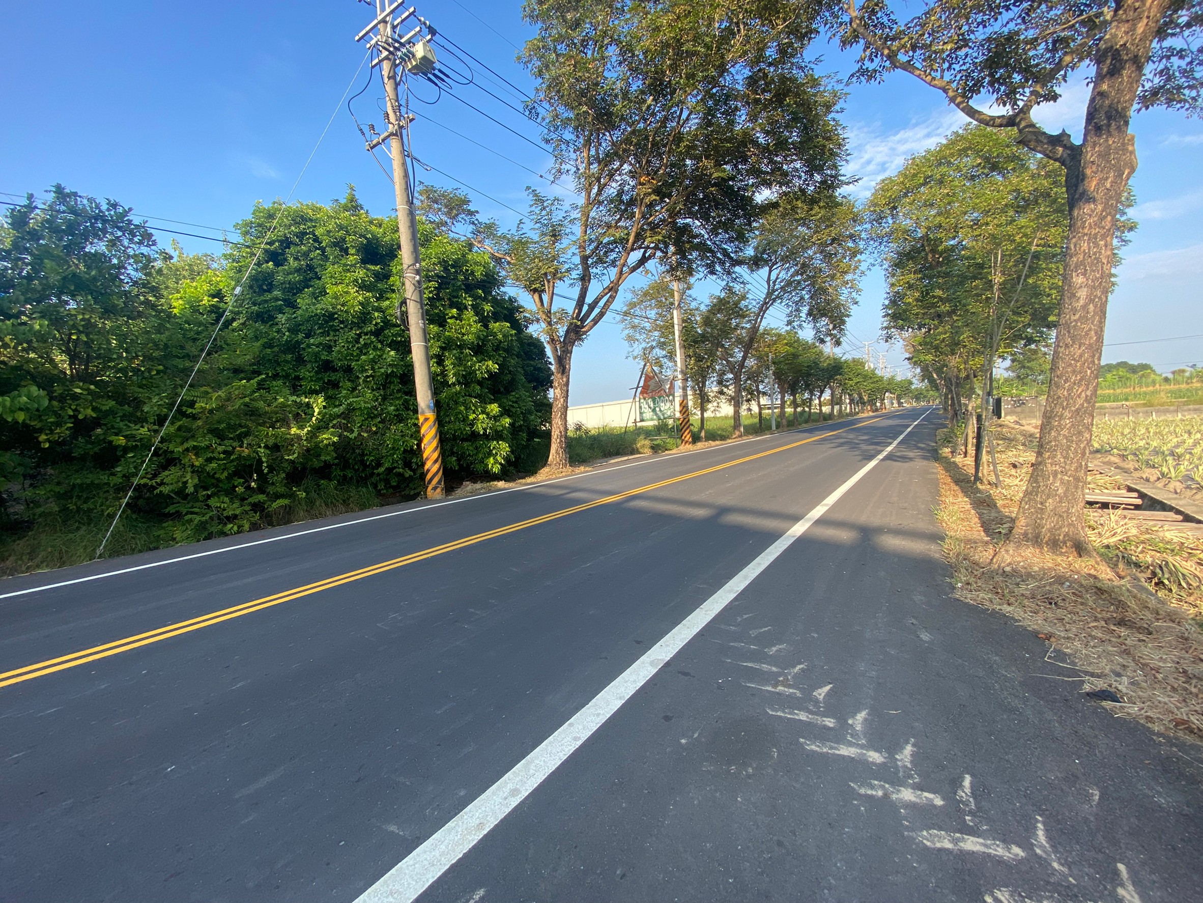 6LINE_ALBUM_新市東大社段 929農地_221117_2