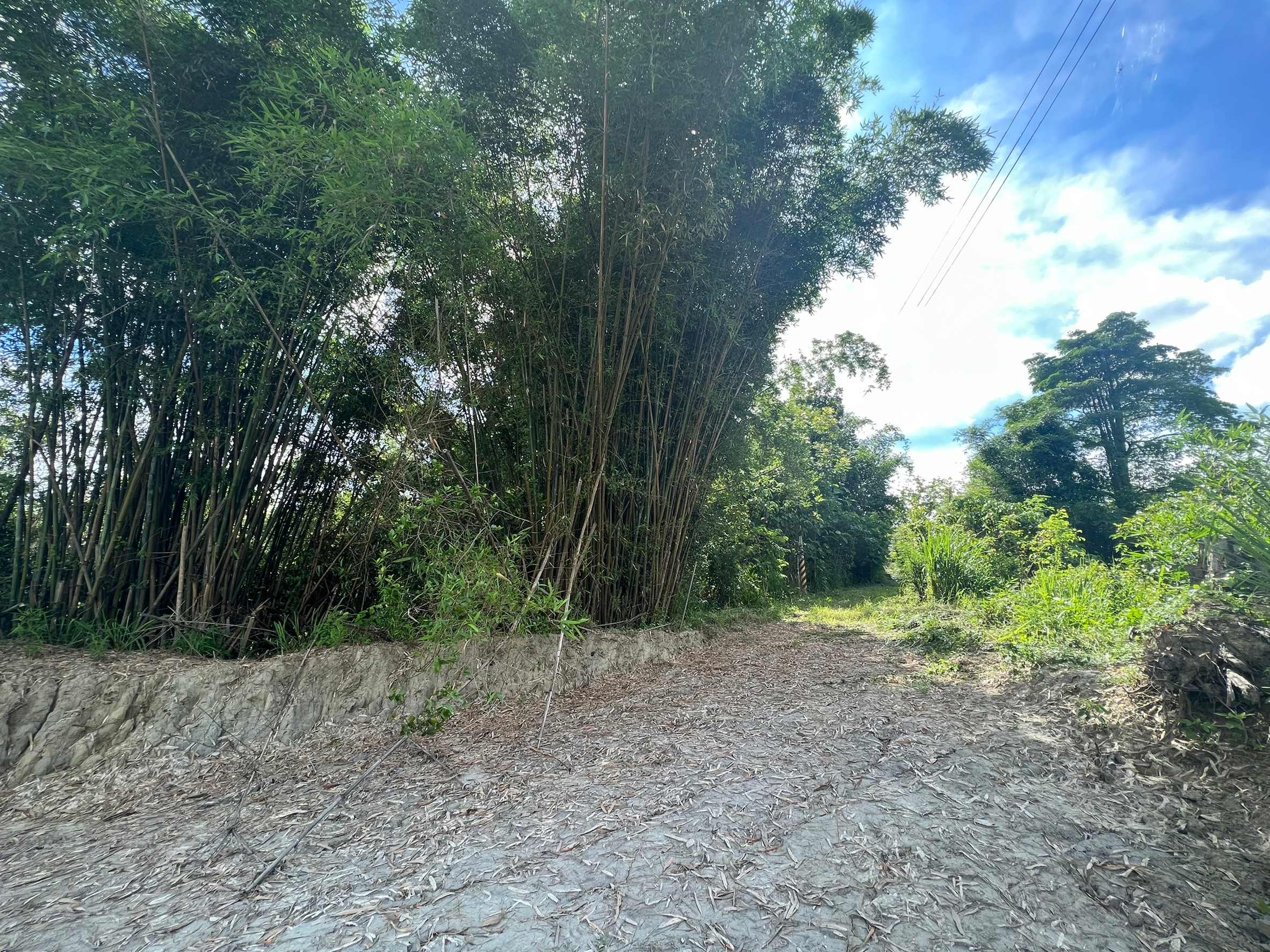 LINE_ALBUM_新化仙境美麗休閒農地_220619_1