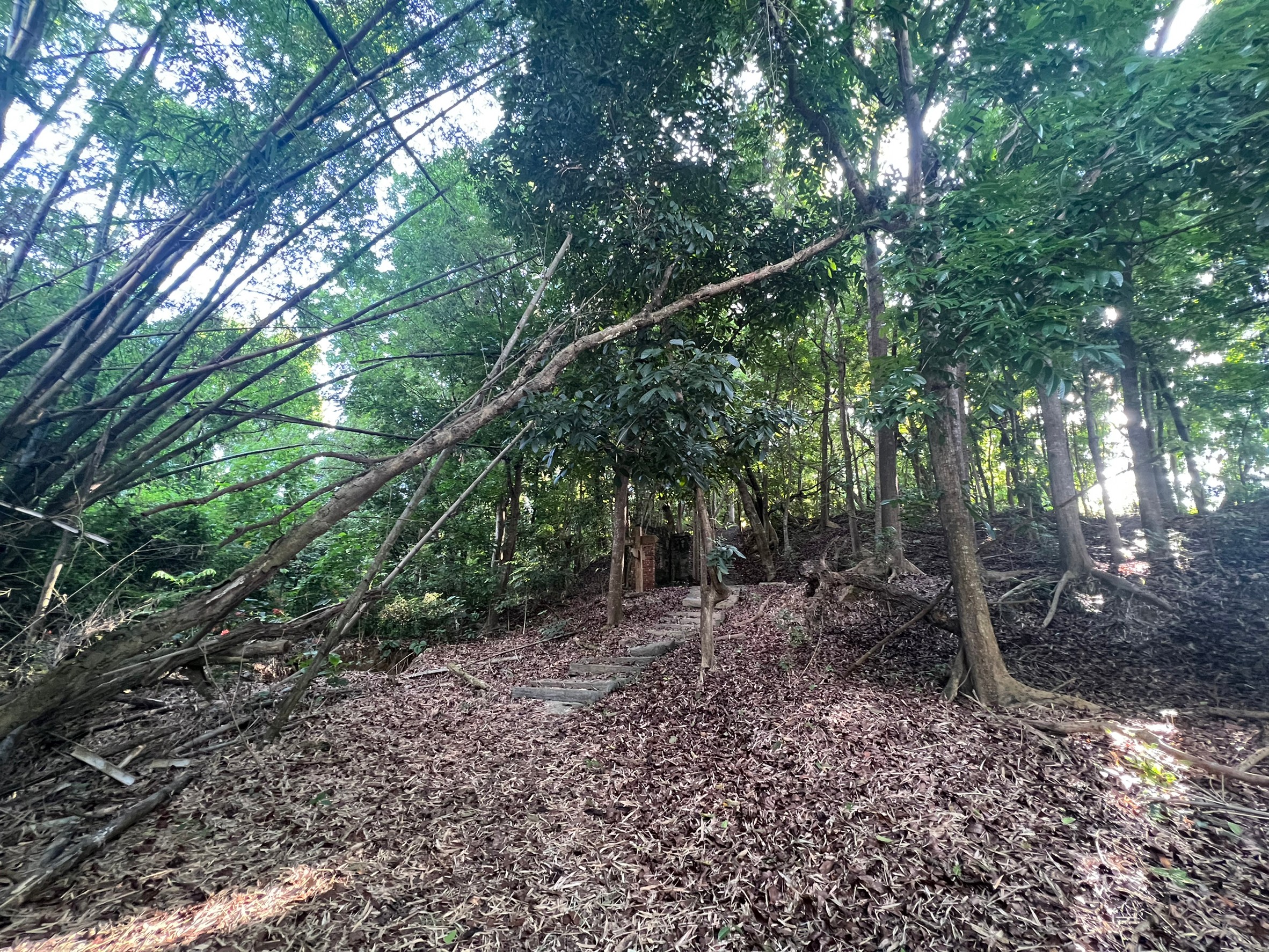 LINE_ALBUM_新化仙境美麗休閒農地_220619_17