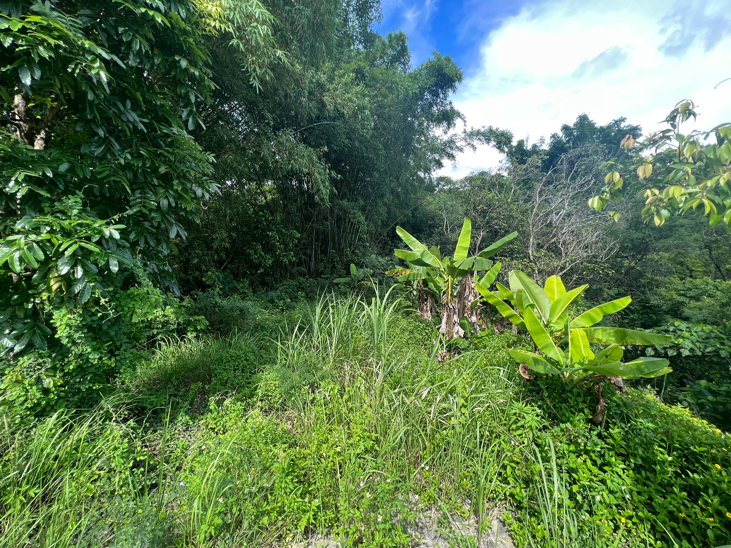 LINE_ALBUM_新化仙境美麗休閒農地_220619_5