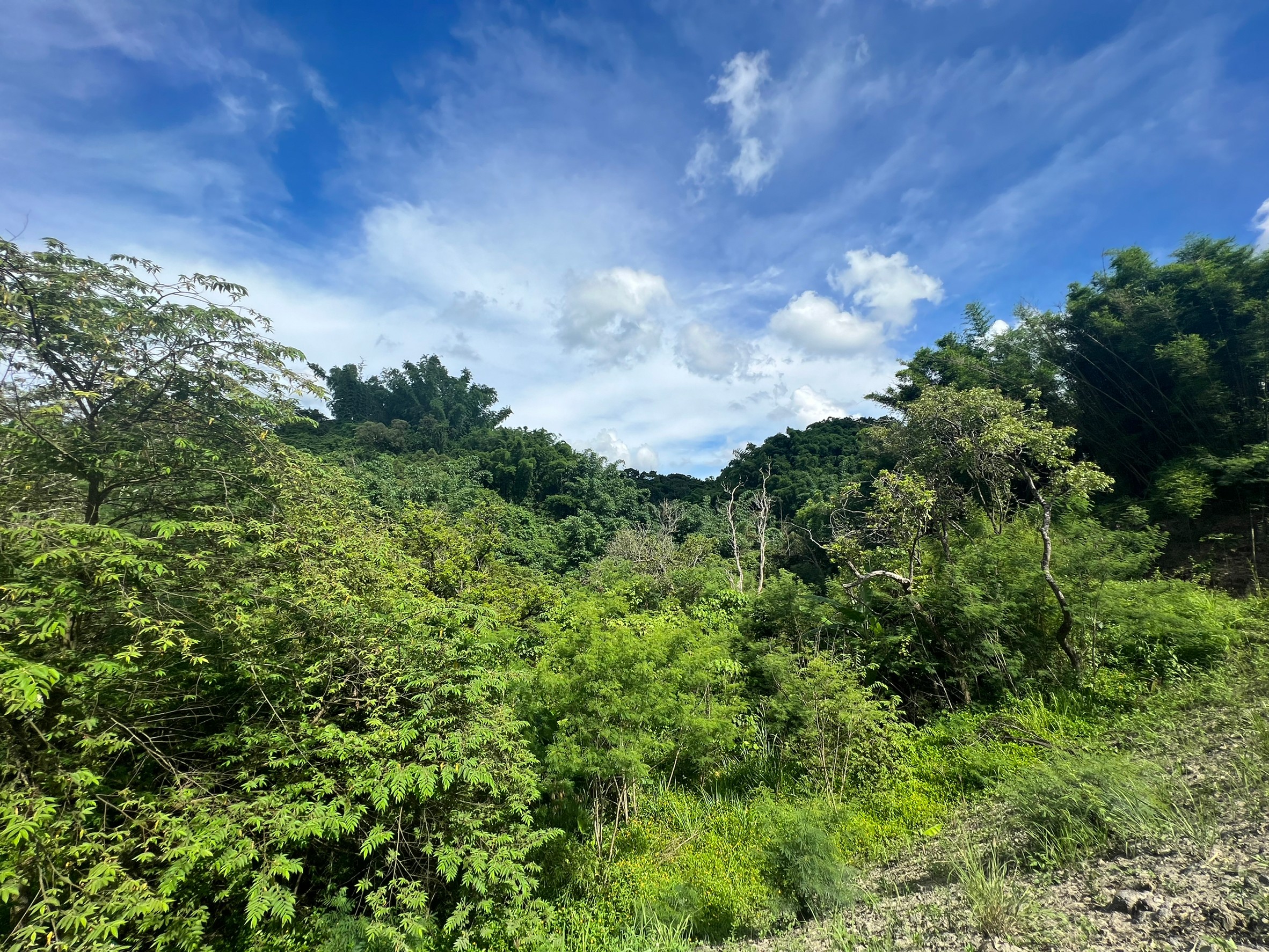 LINE_ALBUM_新化仙境美麗休閒農地_220619_7