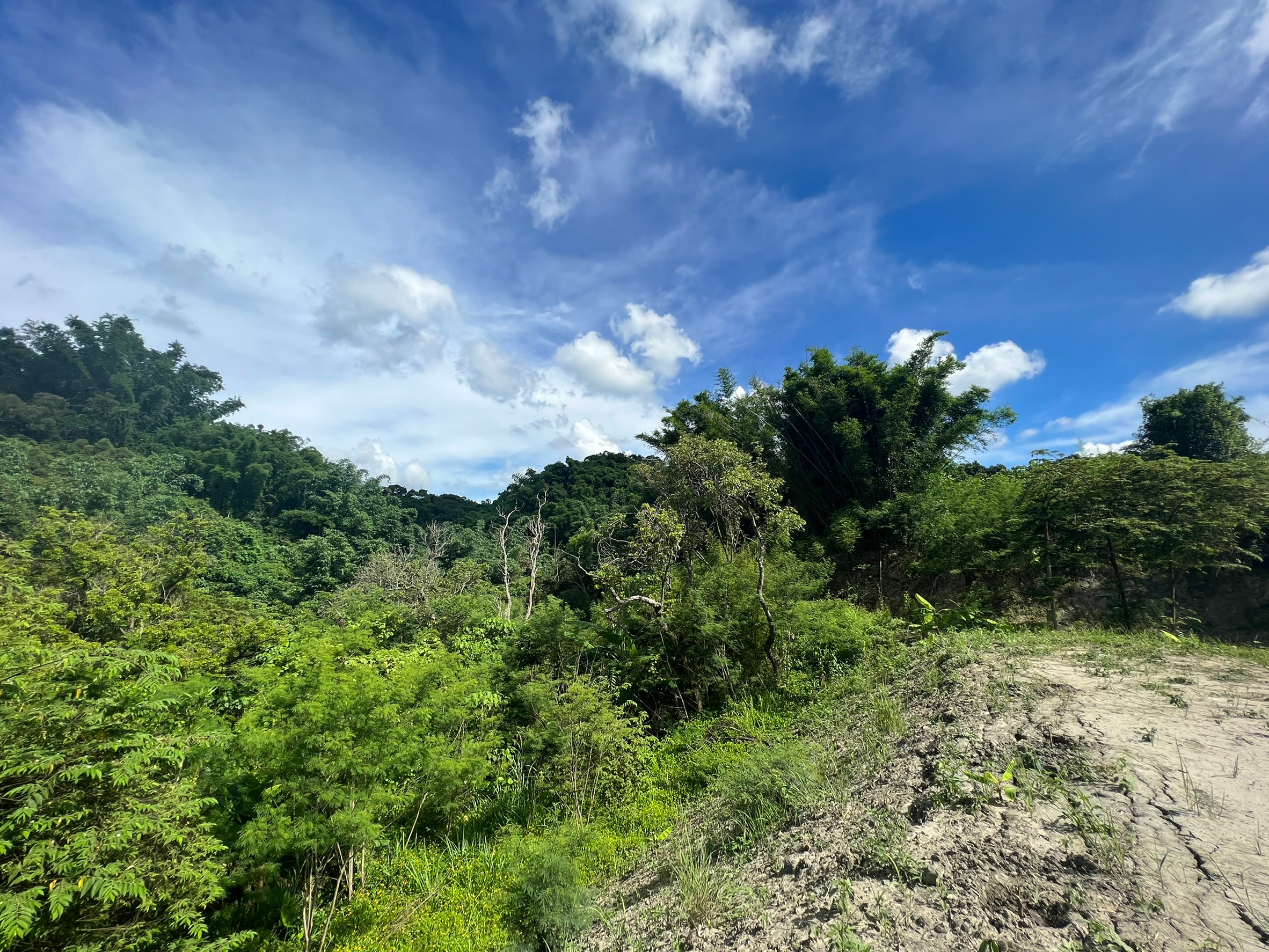 LINE_ALBUM_新化仙境美麗休閒農地_220619_8