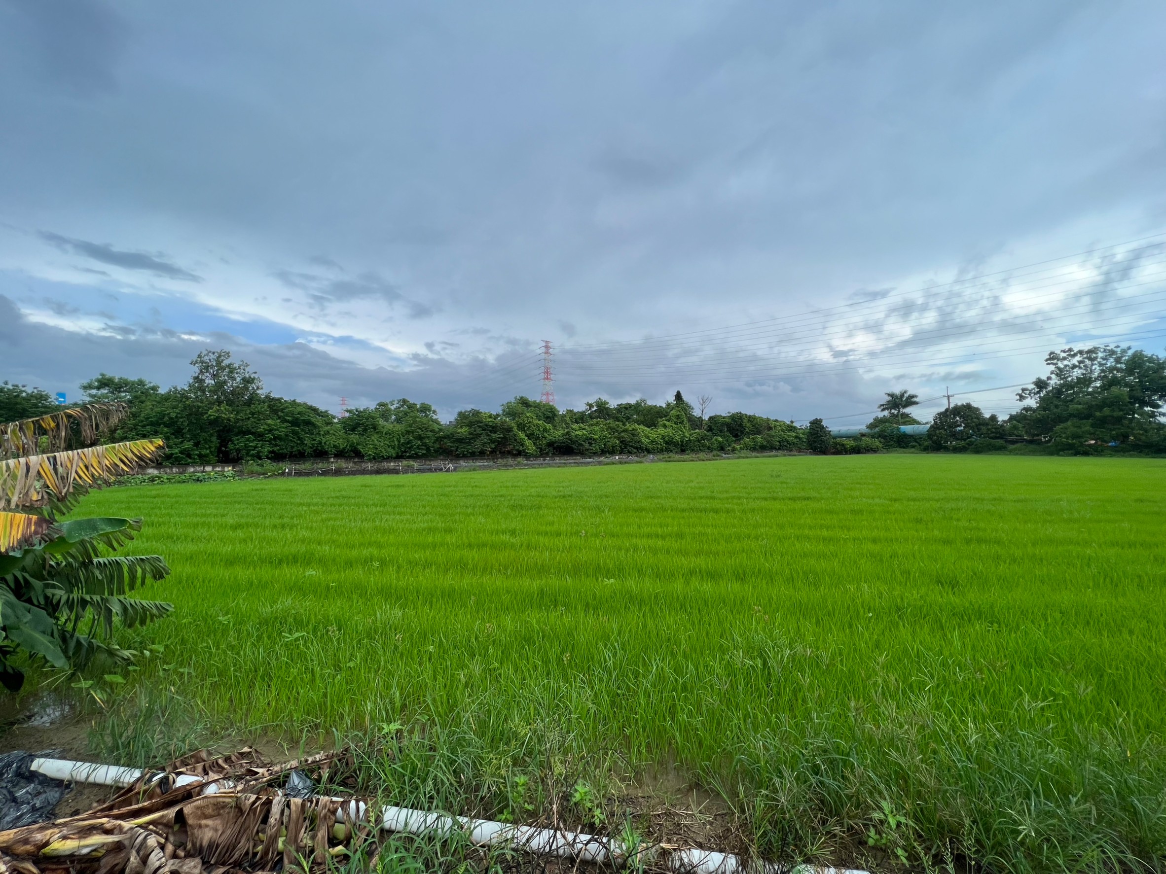 LINE_ALBUM_新化北外環五分農地_230919_2