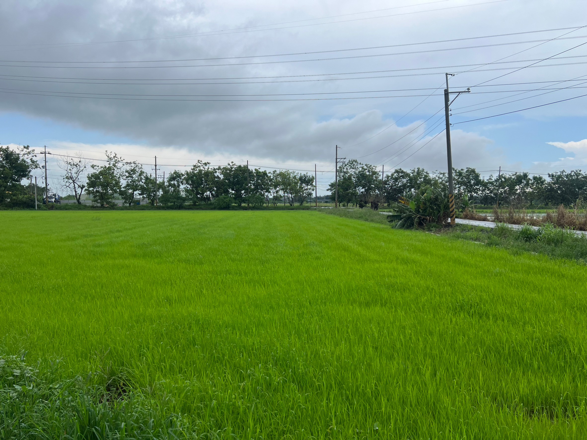 LINE_ALBUM_新化北外環五分農地_230919_3