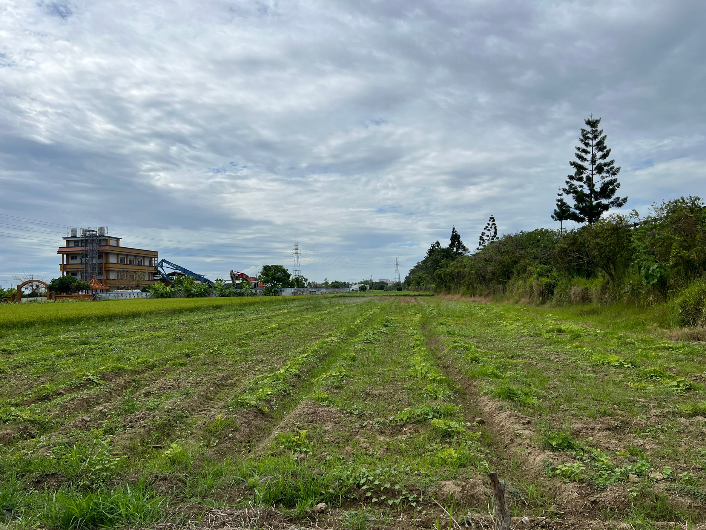 LINE_ALBUM_新化外環優質美農地_220519_0