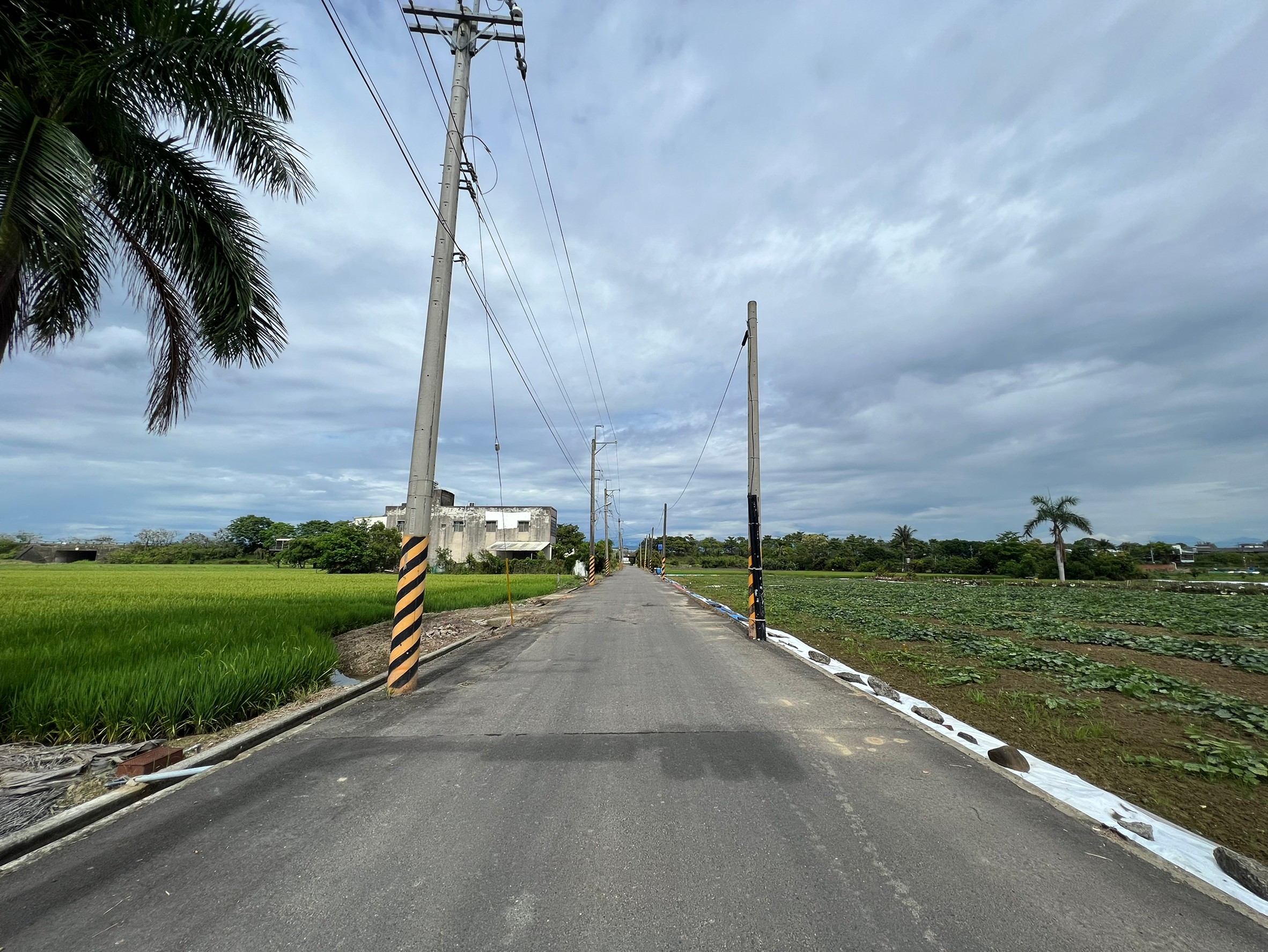 LINE_ALBUM_新化外環優質美農地_220519_7