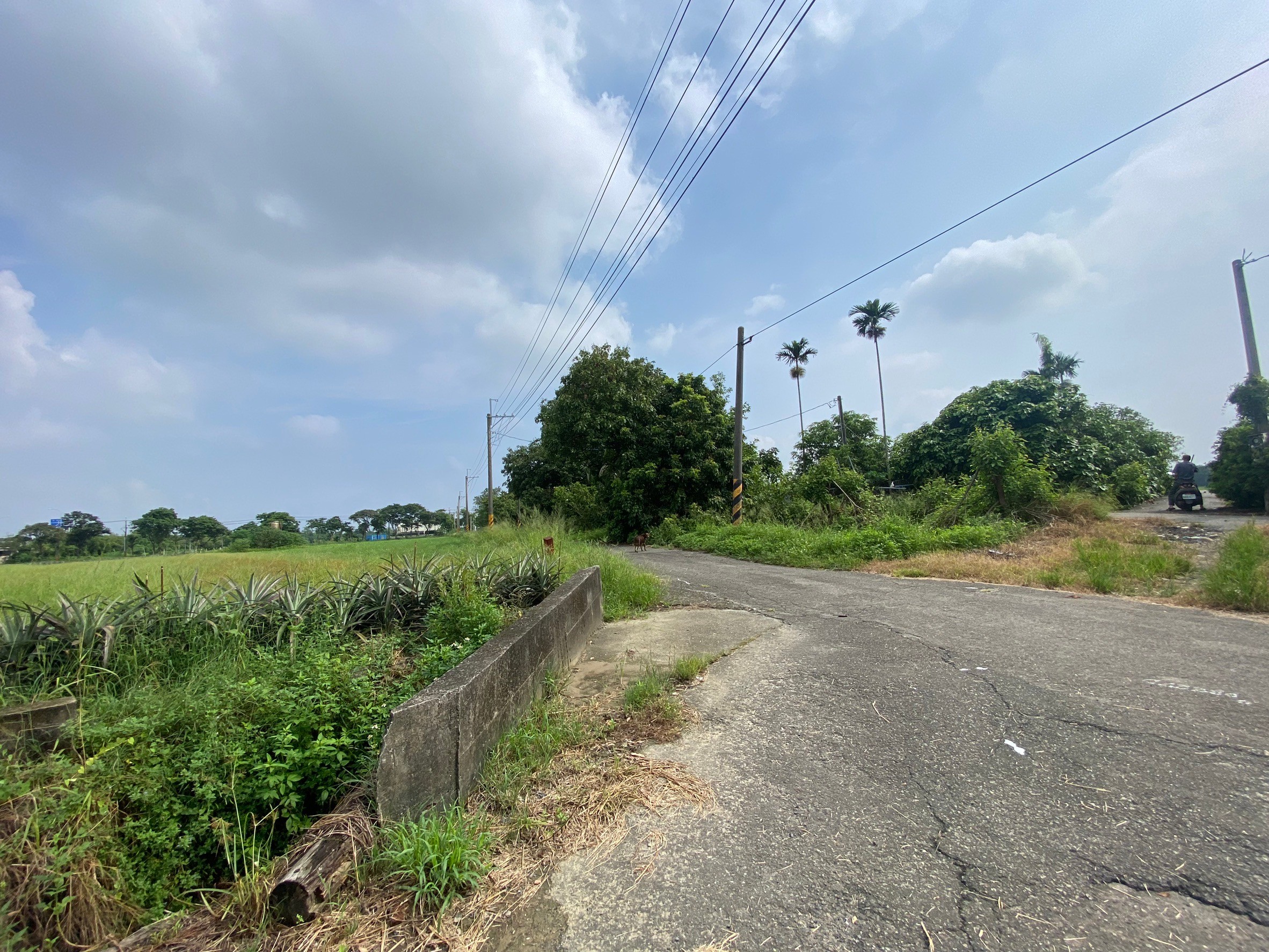 LINE_ALBUM_新市東大社段953農地_241005_1