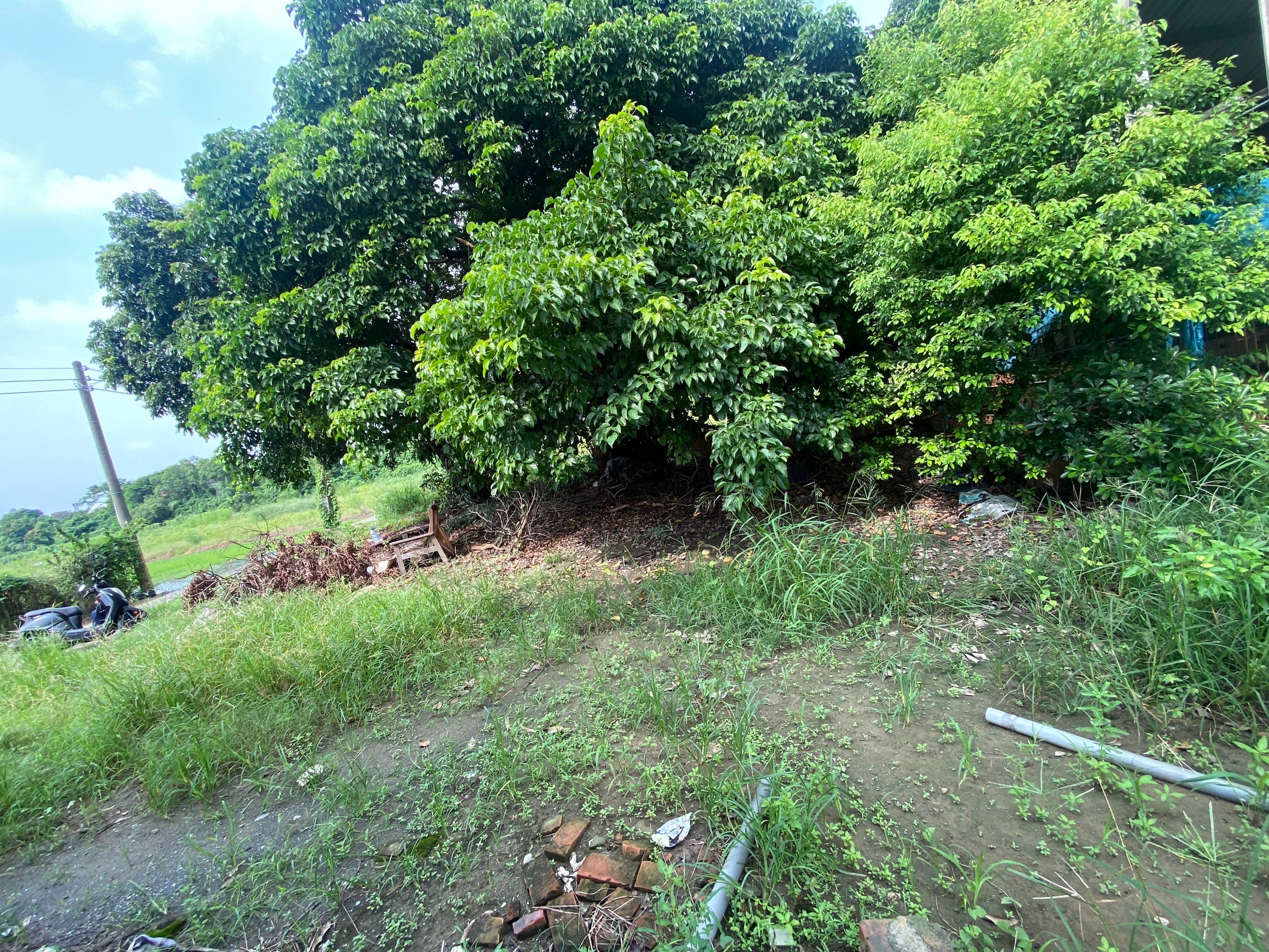 LINE_ALBUM_新市東大社段953農地_241005_2