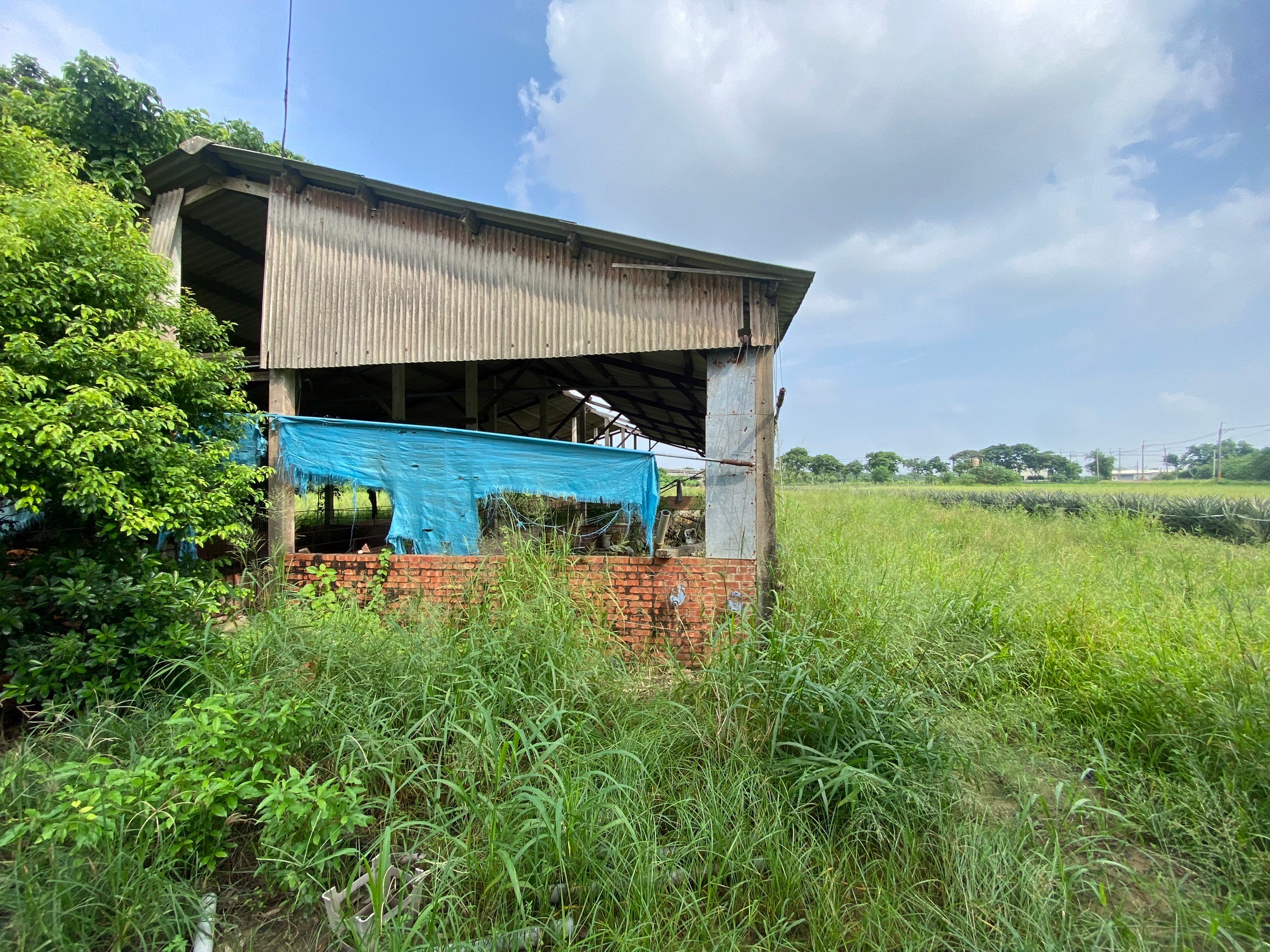 LINE_ALBUM_新市東大社段953農地_241005_3