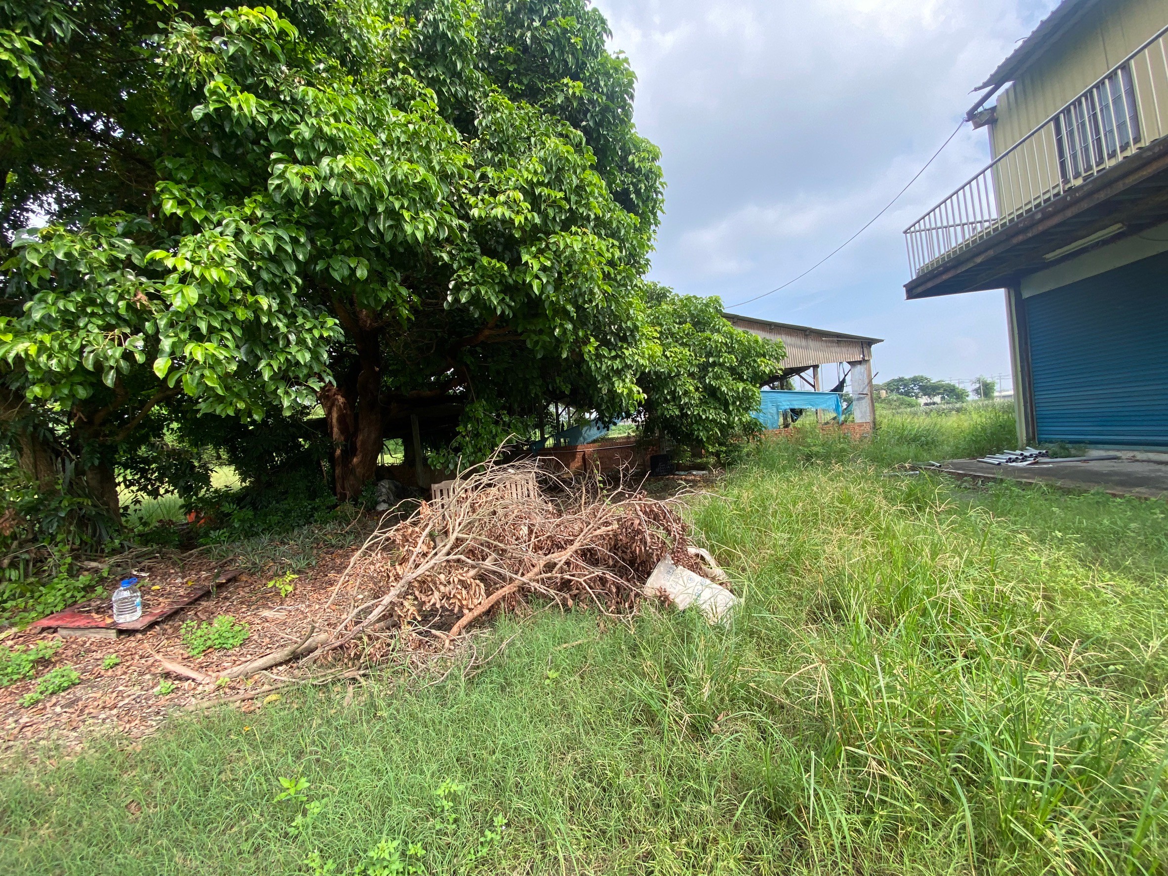 LINE_ALBUM_新市東大社段953農地_241005_4