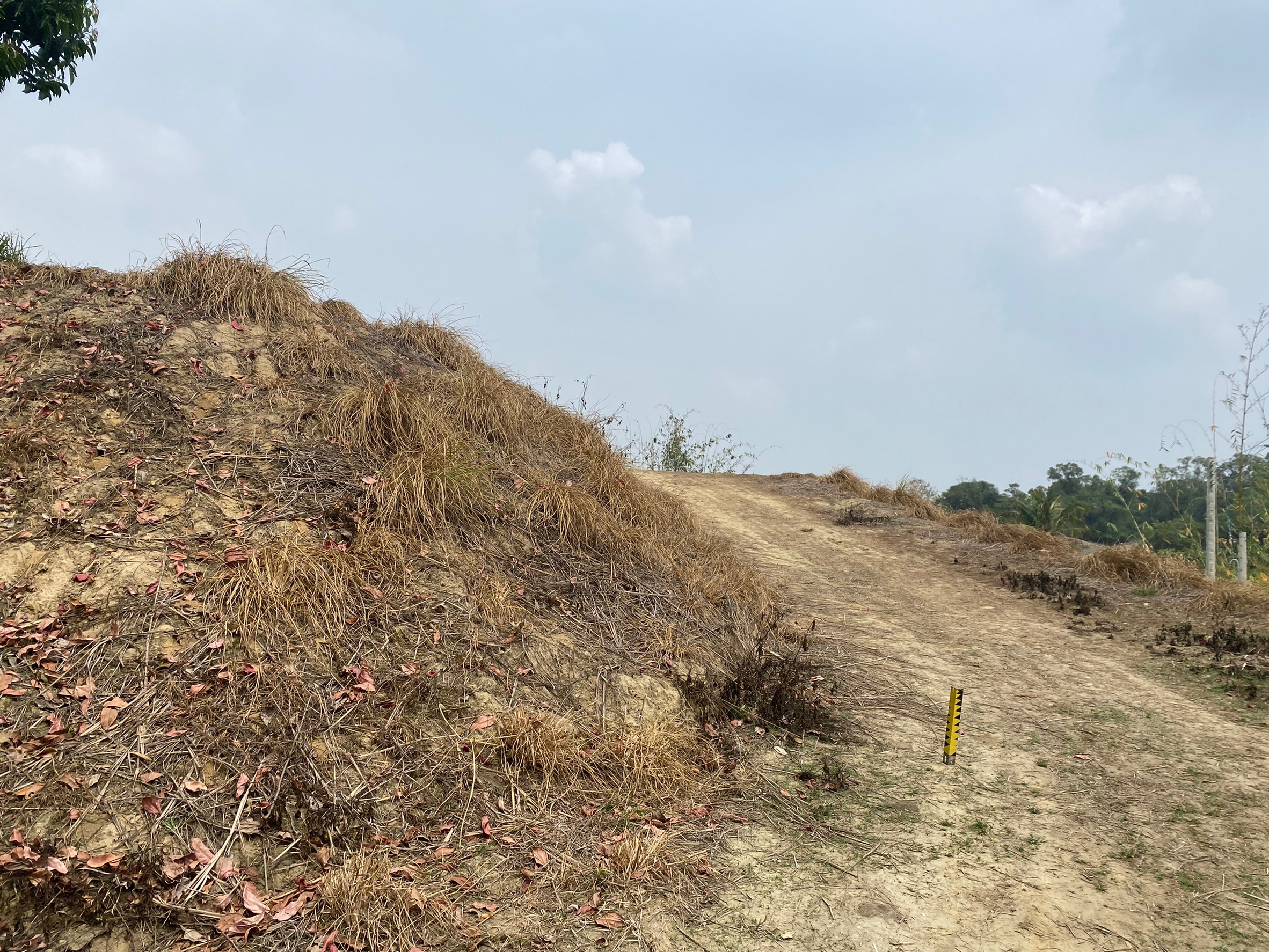 LINE_ALBUM_礁坑子2.9分農地_220320_2