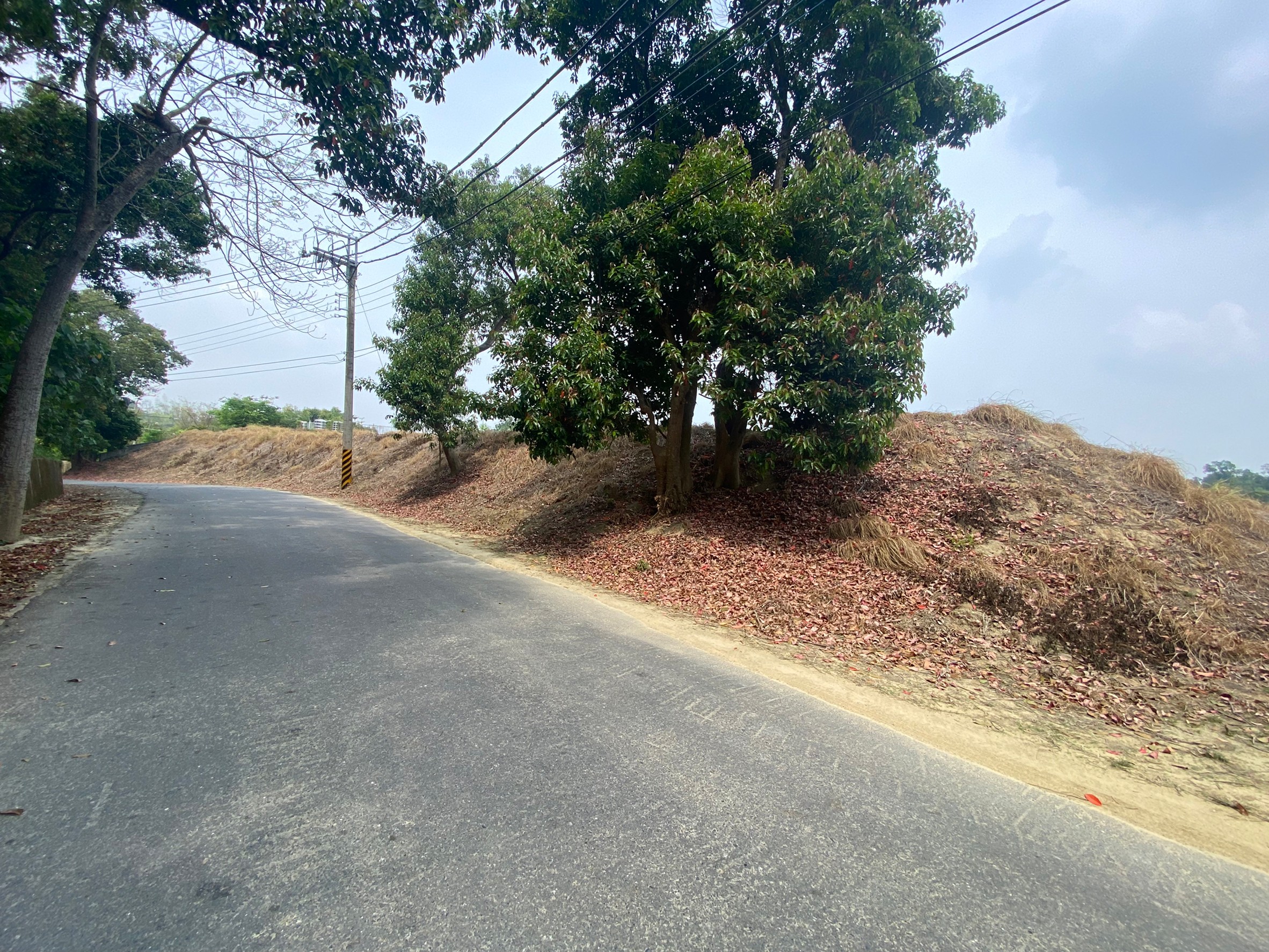 LINE_ALBUM_礁坑子2.9分農地_220320_3