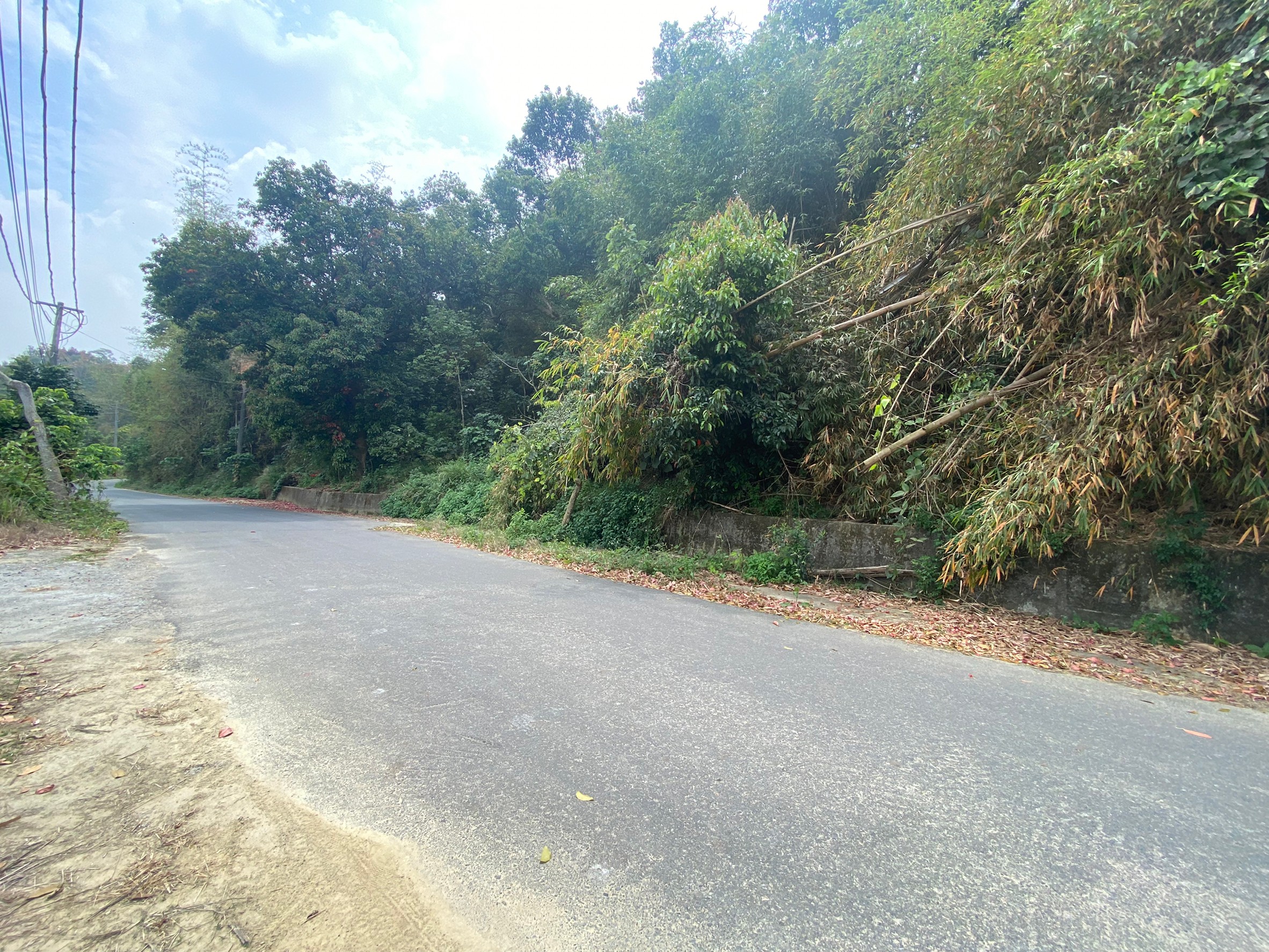 LINE_ALBUM_礁坑子2.9分農地_220320_4