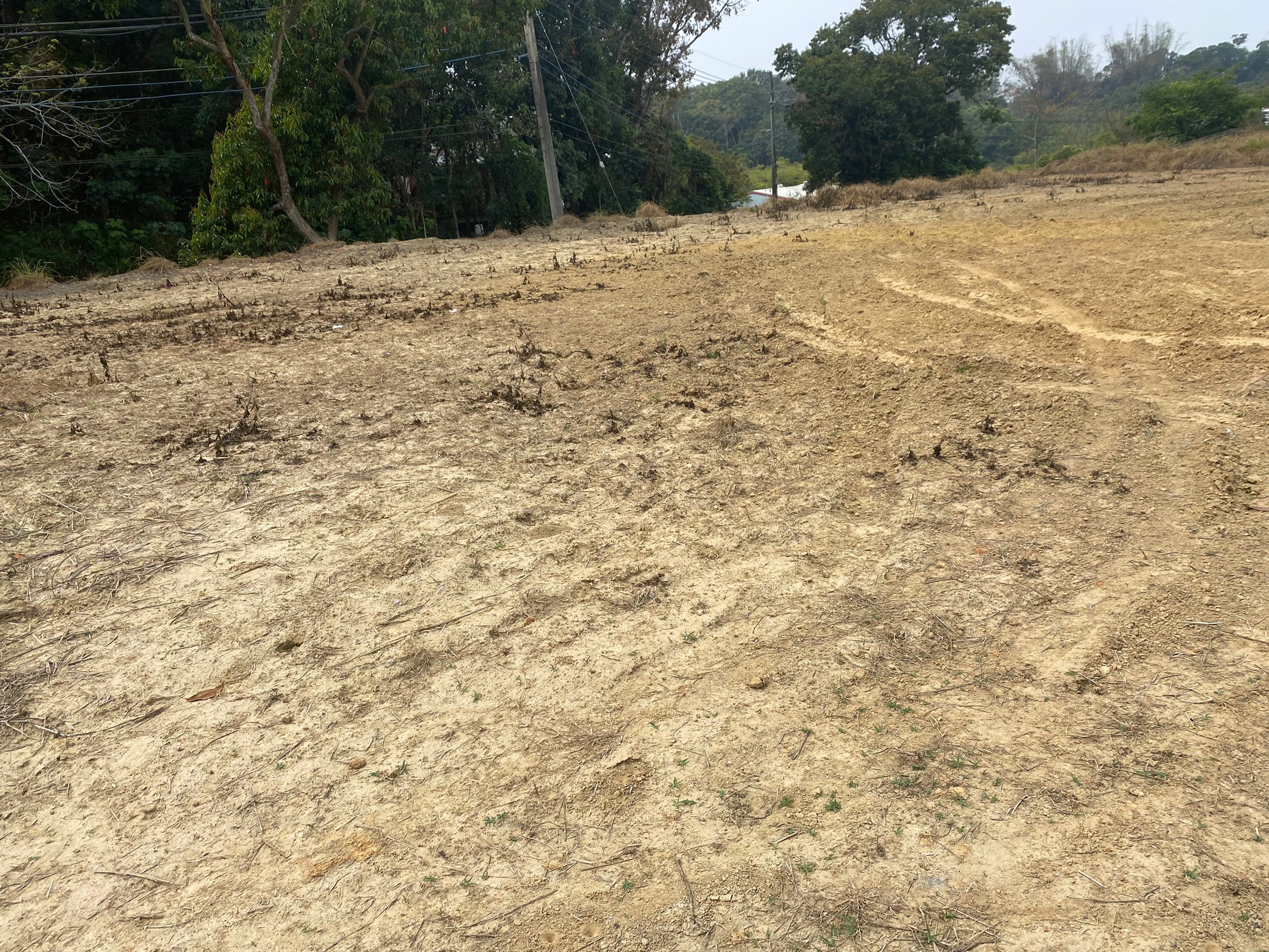 LINE_ALBUM_礁坑子2.9分農地_220320_5