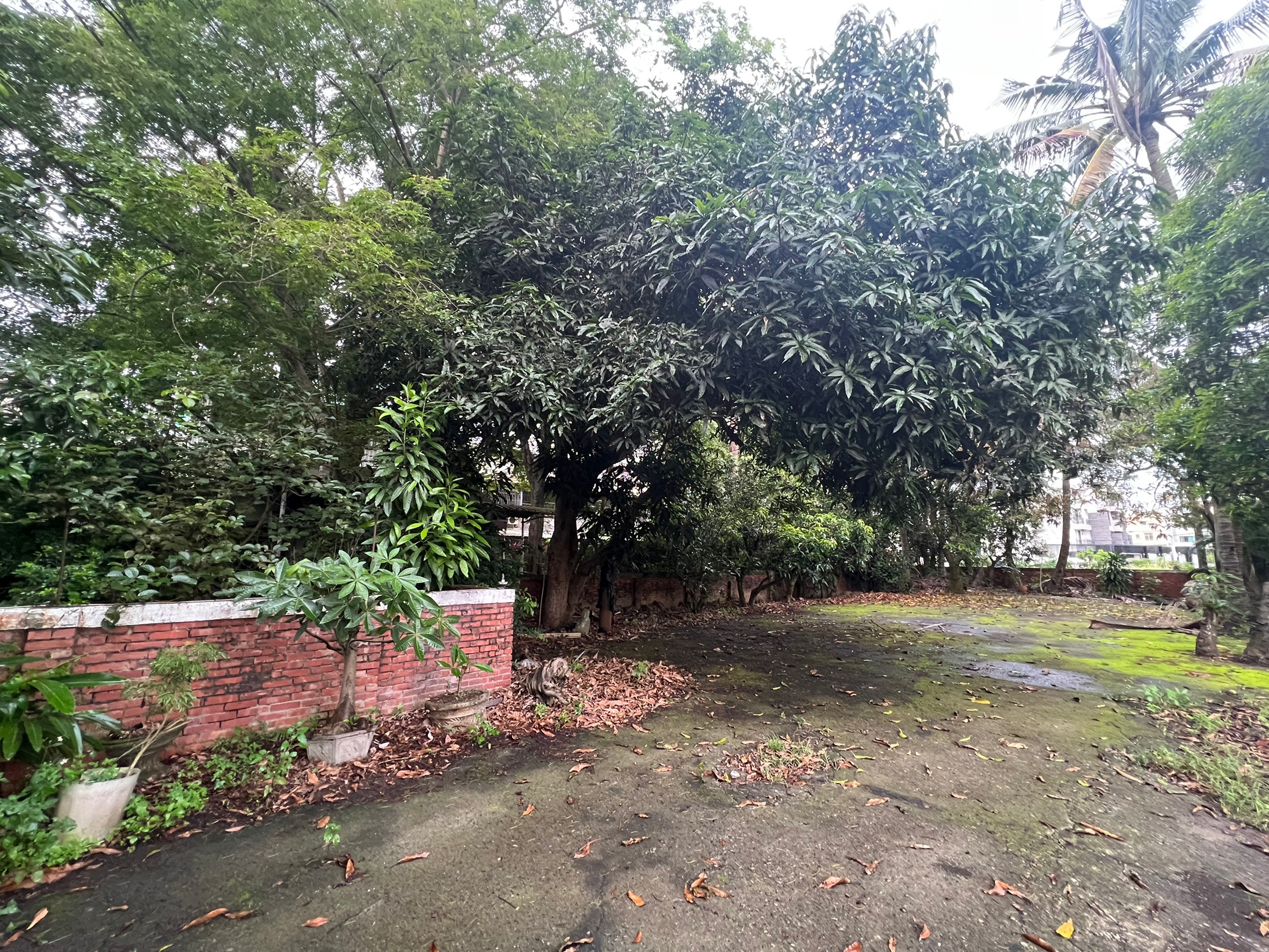 LINE_ALBUM_金龍旅社_220530_4