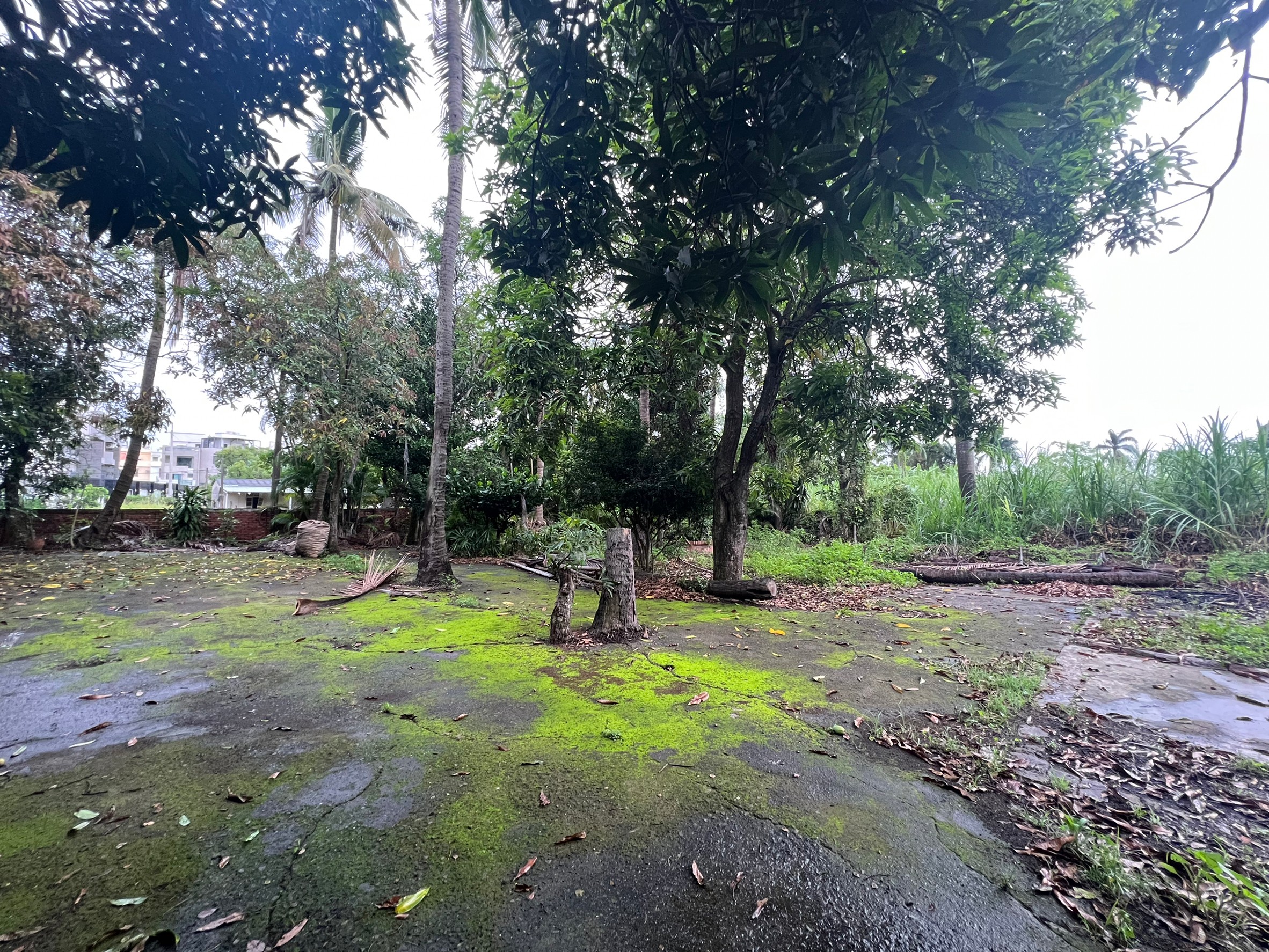 LINE_ALBUM_金龍旅社_220530_5