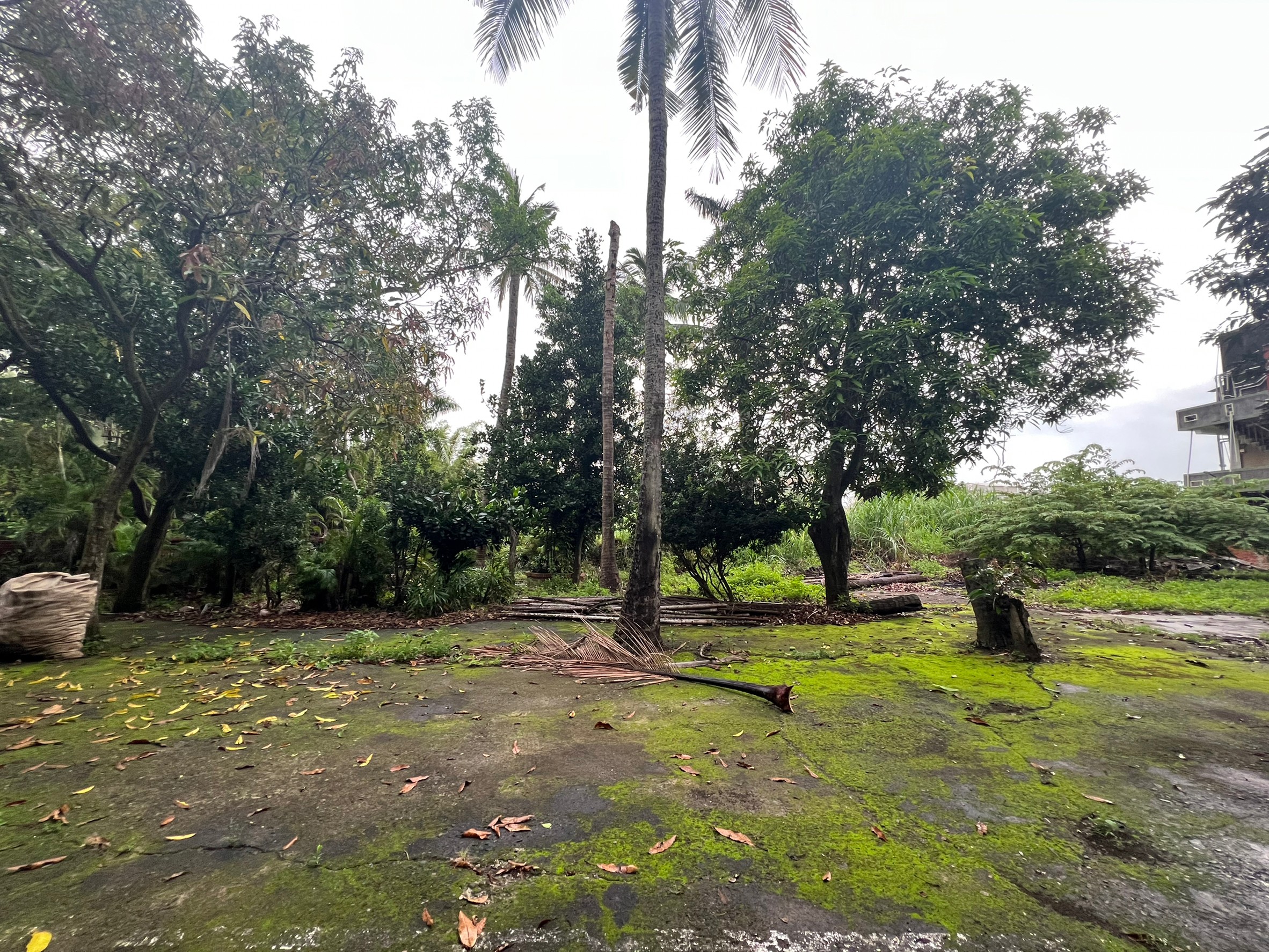 LINE_ALBUM_金龍旅社_220530_6_0