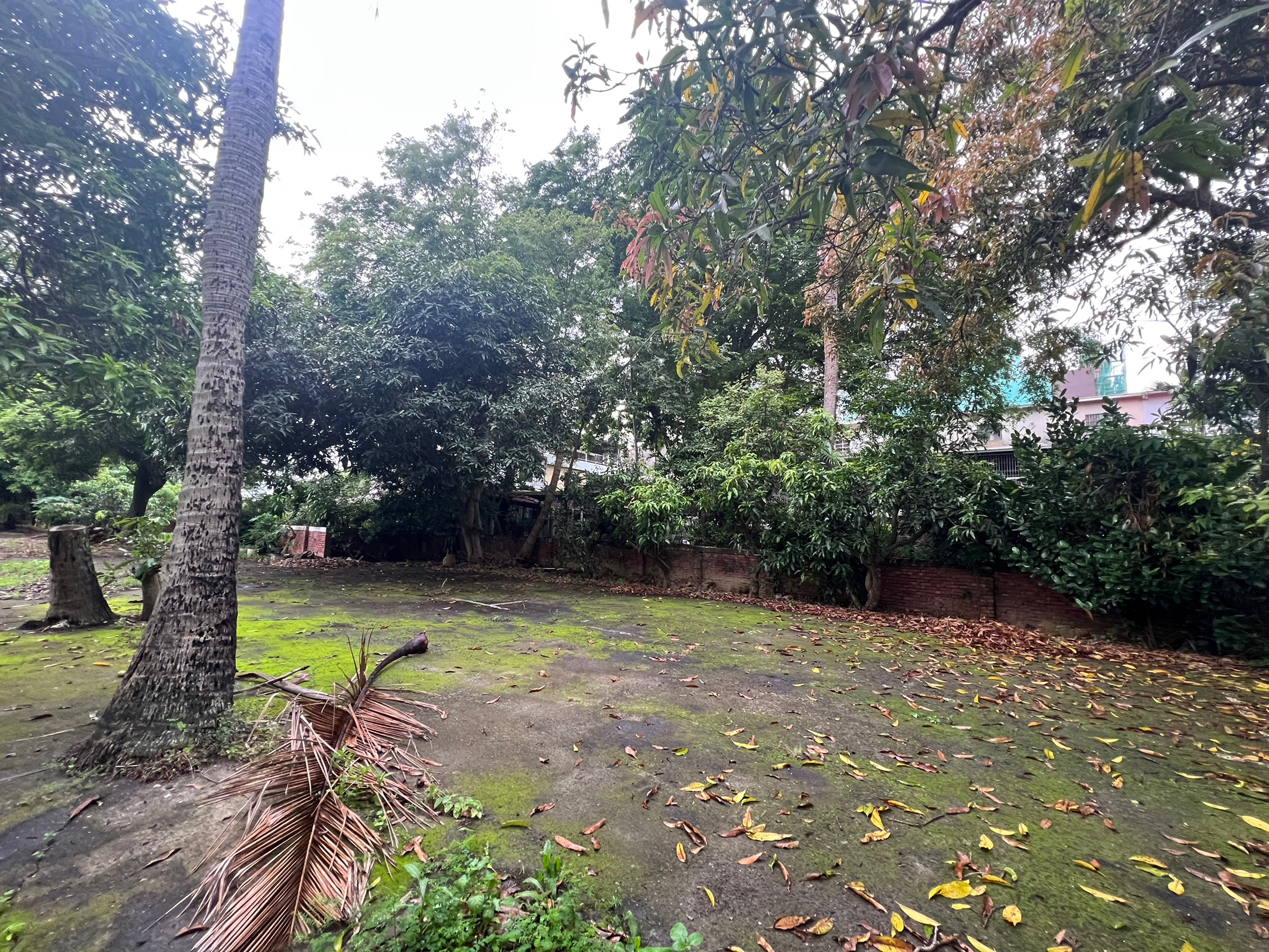 LINE_ALBUM_金龍旅社_220530_7_0