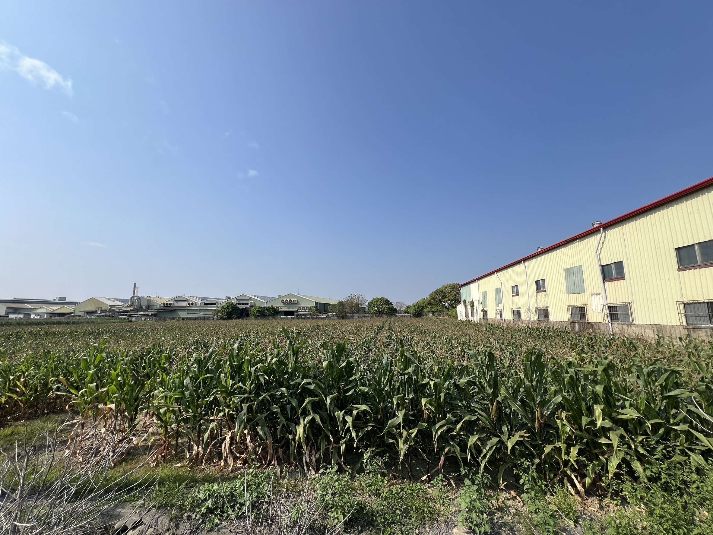 S__65789962_0 - 複製