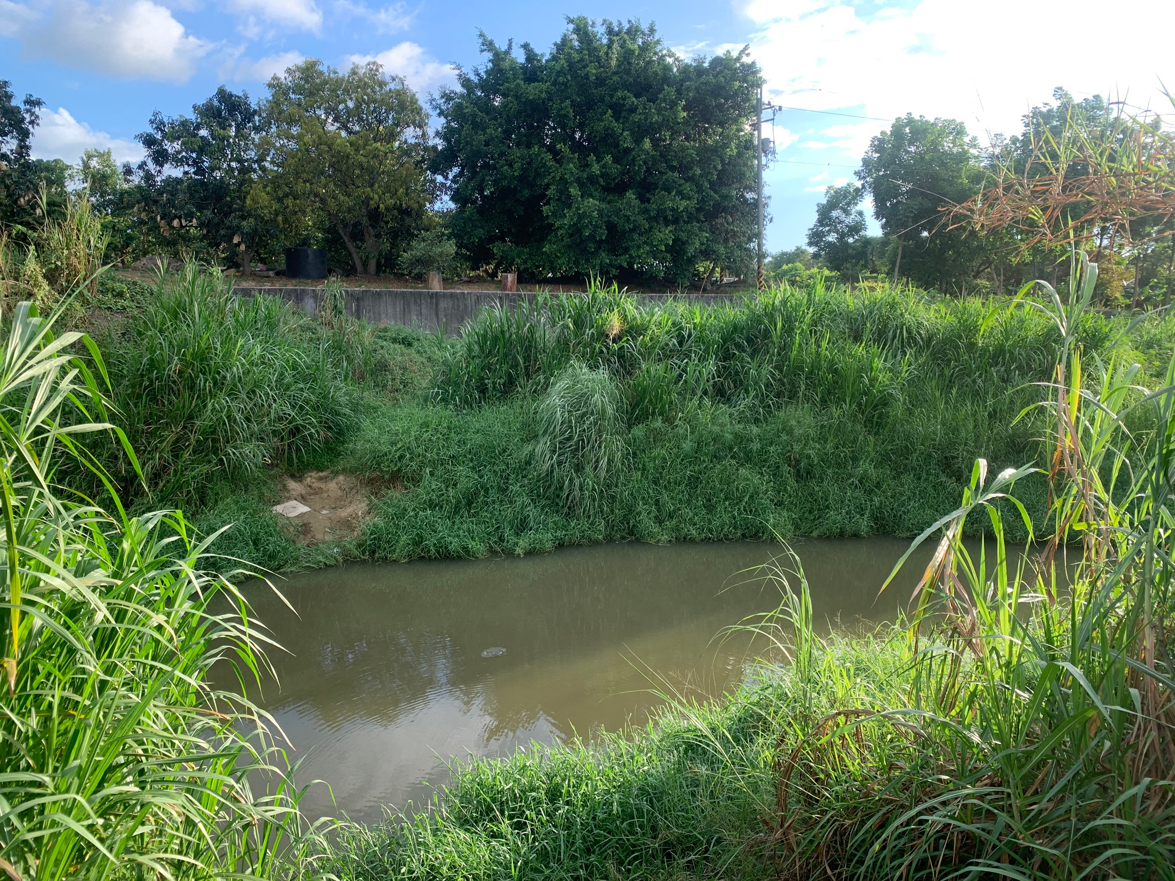 阿榮叔叔農地_200605_0008