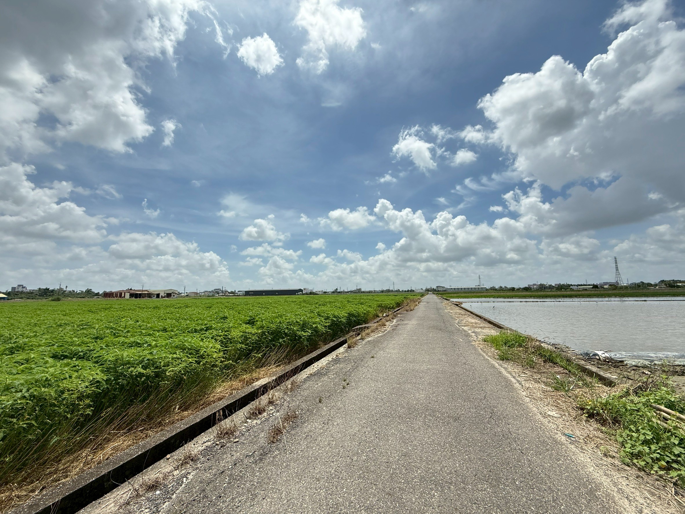 LINE_ALBUM_新化段太子廟小段1481 農地_250724_3