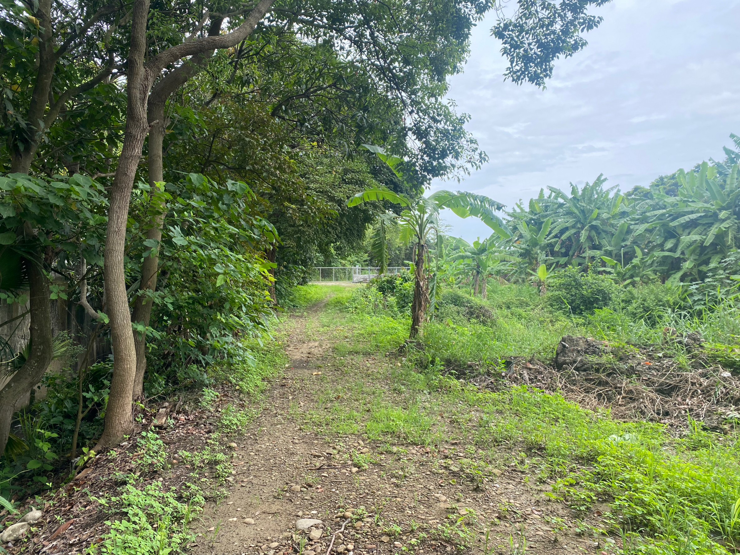 LINE_ALBUM_新化段王公廟小段 1833 農地_230705_3