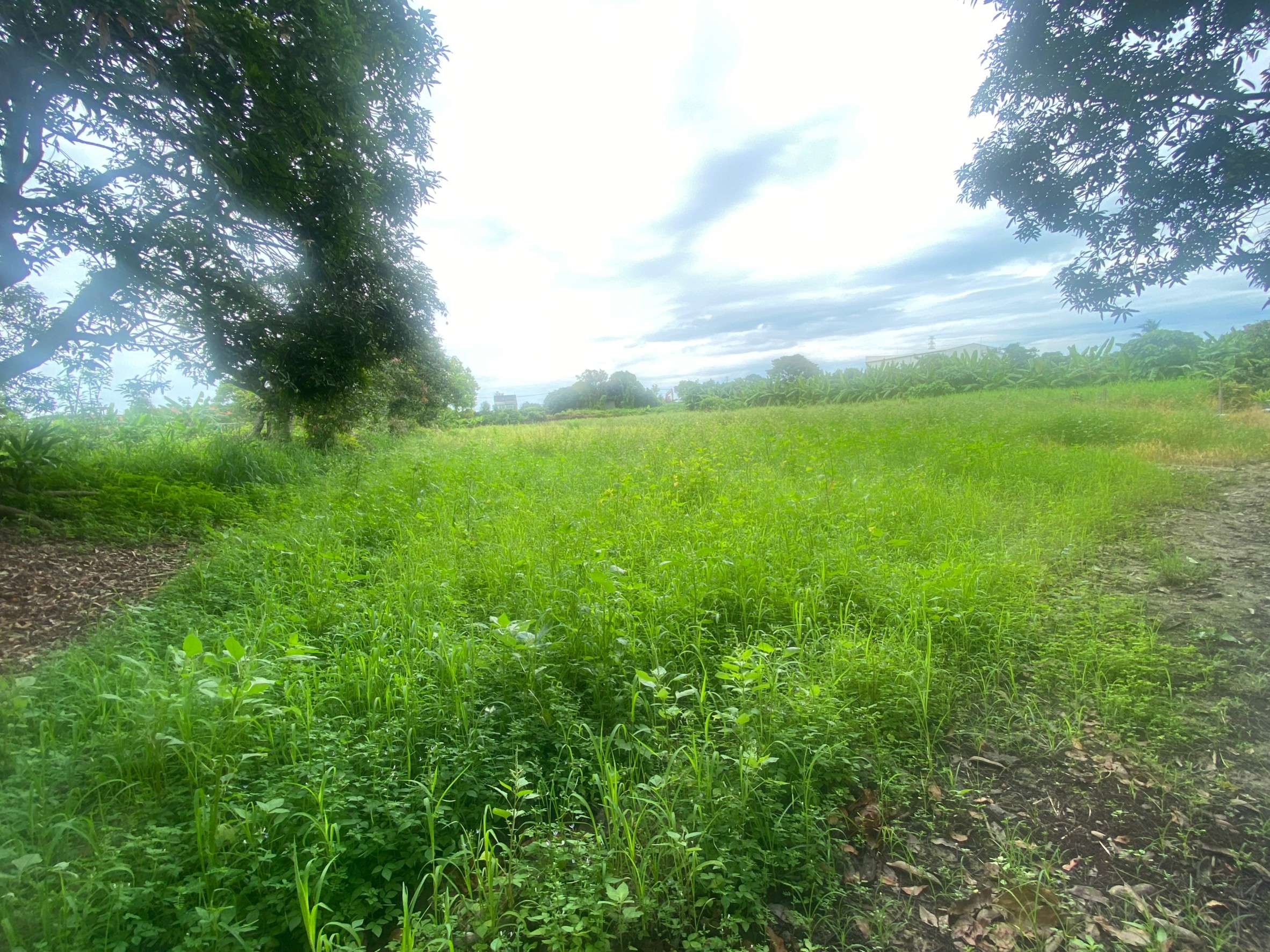 LINE_ALBUM_新化段王公廟小段 1833 農地_230705_4