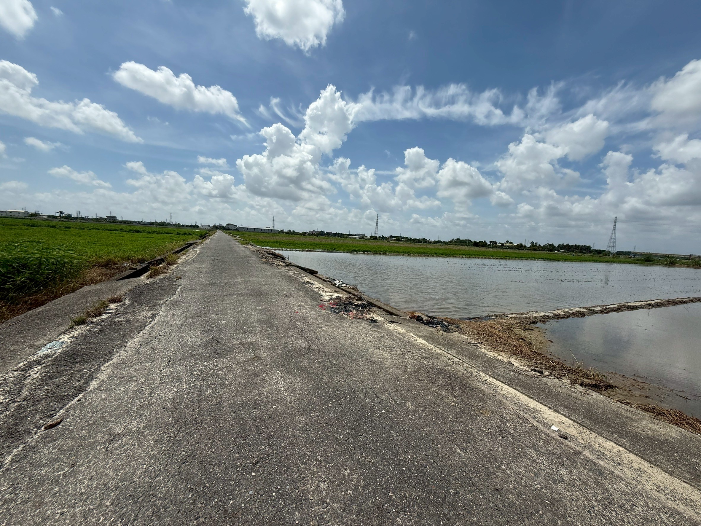 精選照片 LINE_ALBUM_新化段太子廟小段1481 農地_250724_5