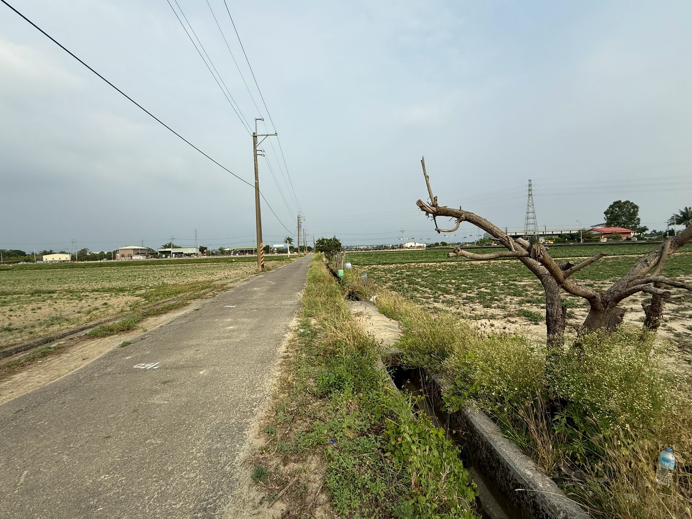 LINE_ALBUM_新化段太子廟小段1767 農地_250522_7