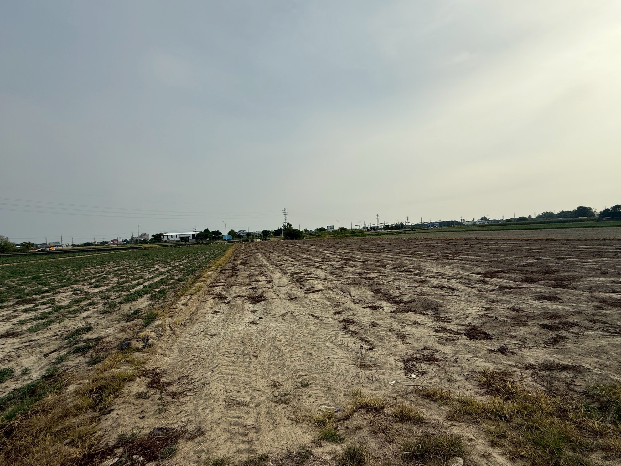 LINE_ALBUM_新化段太子廟小段1767 農地_250522_8