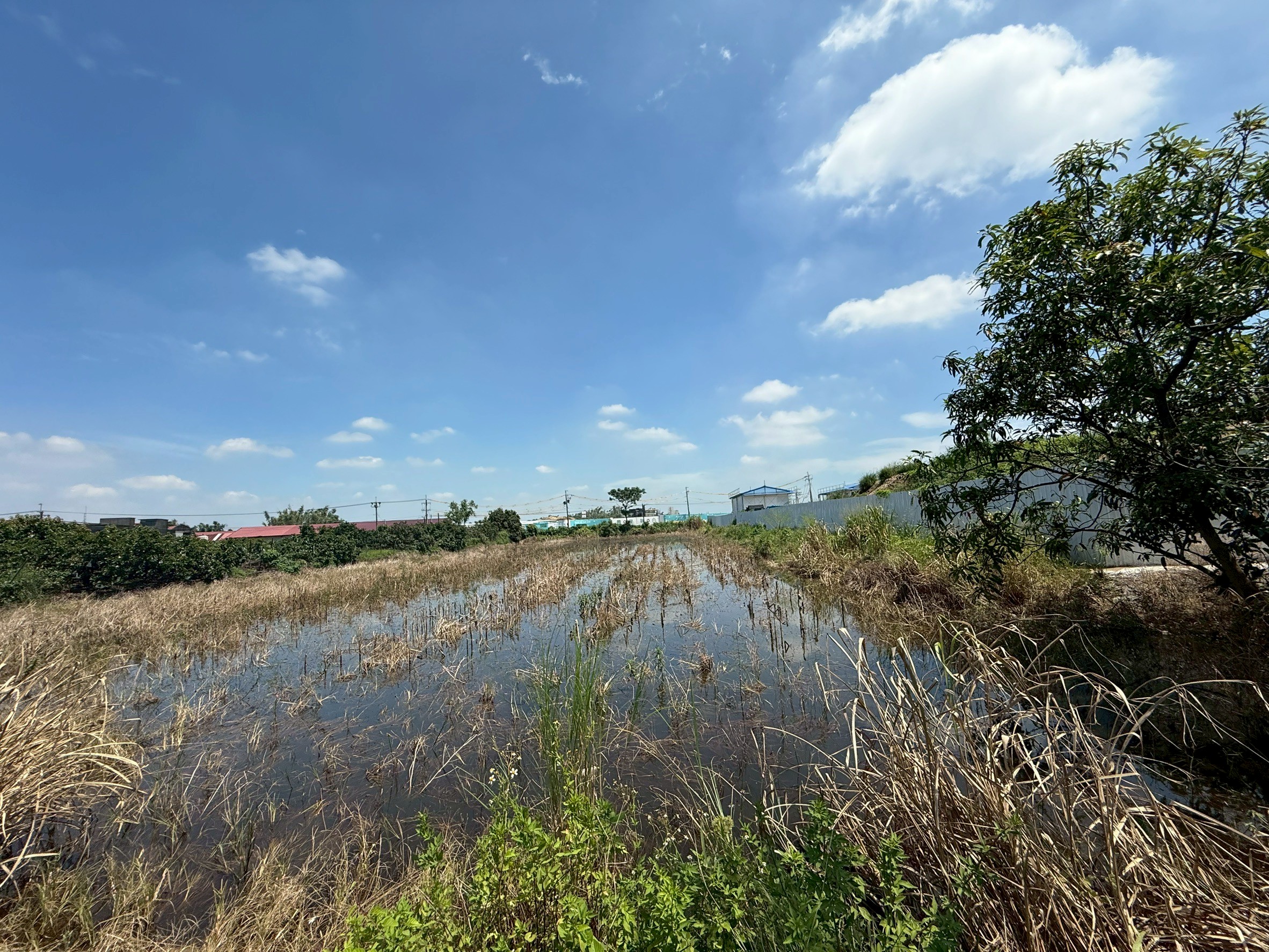 LINE_ALBUM_新市區月潭段 303地號 農地_250827_4