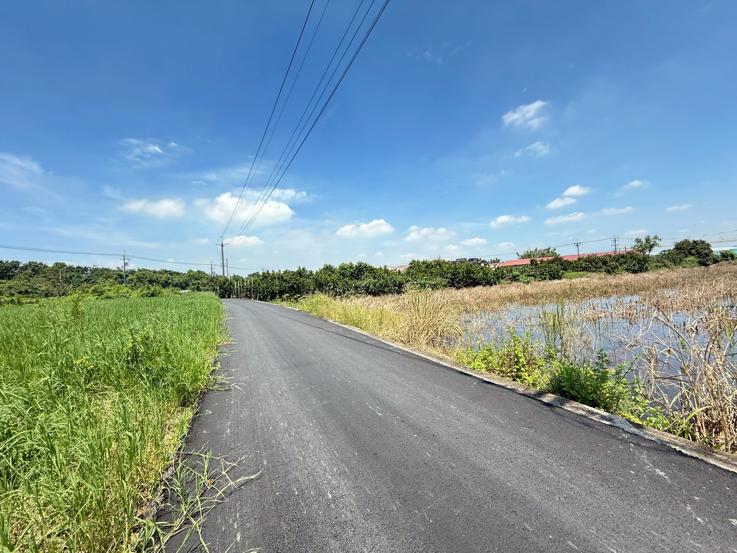 LINE_ALBUM_新市區月潭段 303地號 農地_250827_5