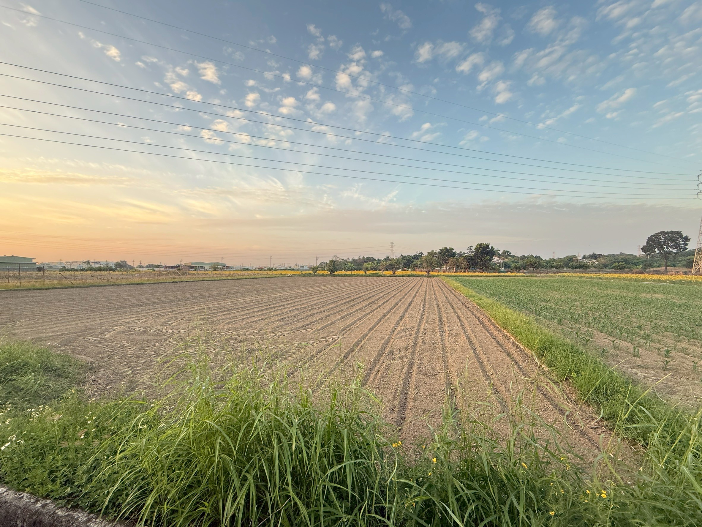 LINE_ALBUM_頂山腳段 1485 地號 農地_251216_3